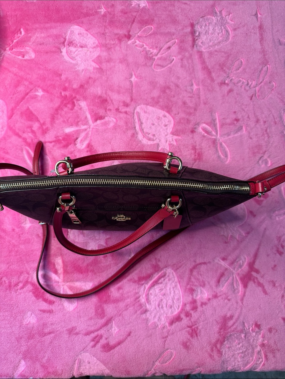 NWOT Coach Prairie Satchel Signature Canvas Brown Red Trim Cherry charm - Picture 7 of 11